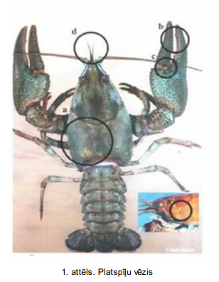 1623510945_suretfKn.png